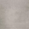 NEWTON GRIS 1