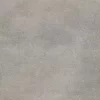 NEWTON GRIS 6