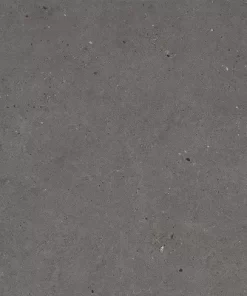 SILVER GRAIN DARK