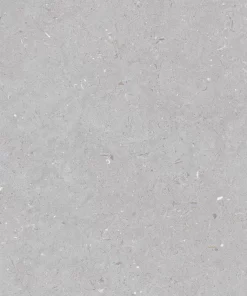 Fossil Dove