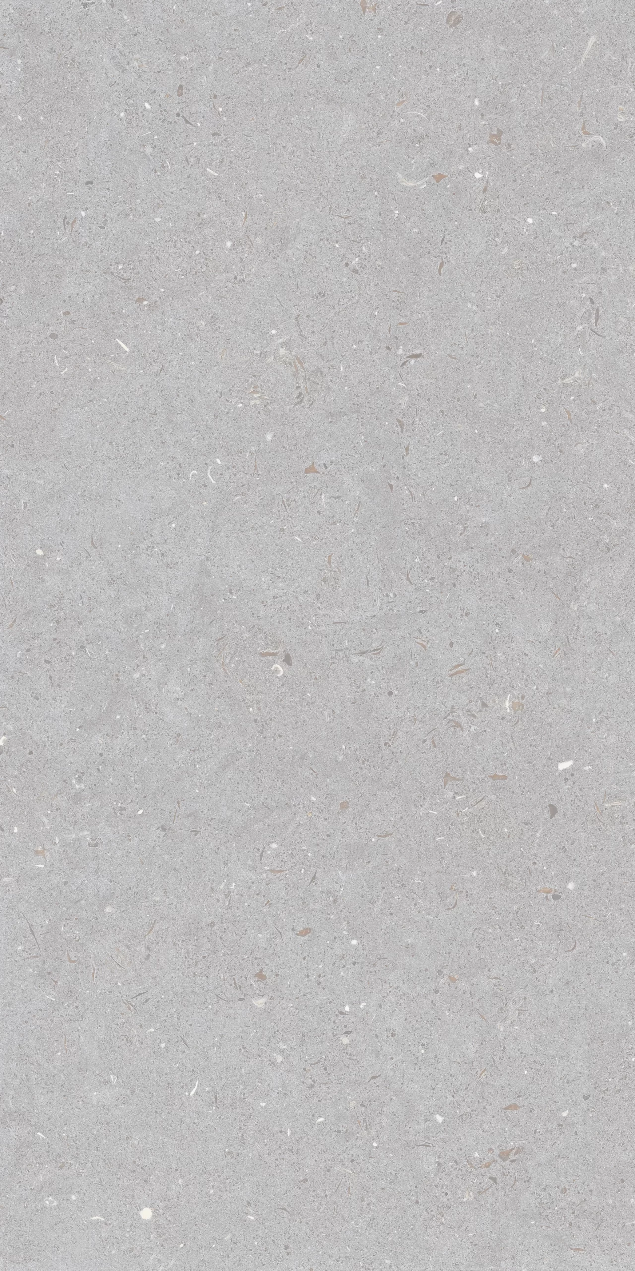 Fossil Dove