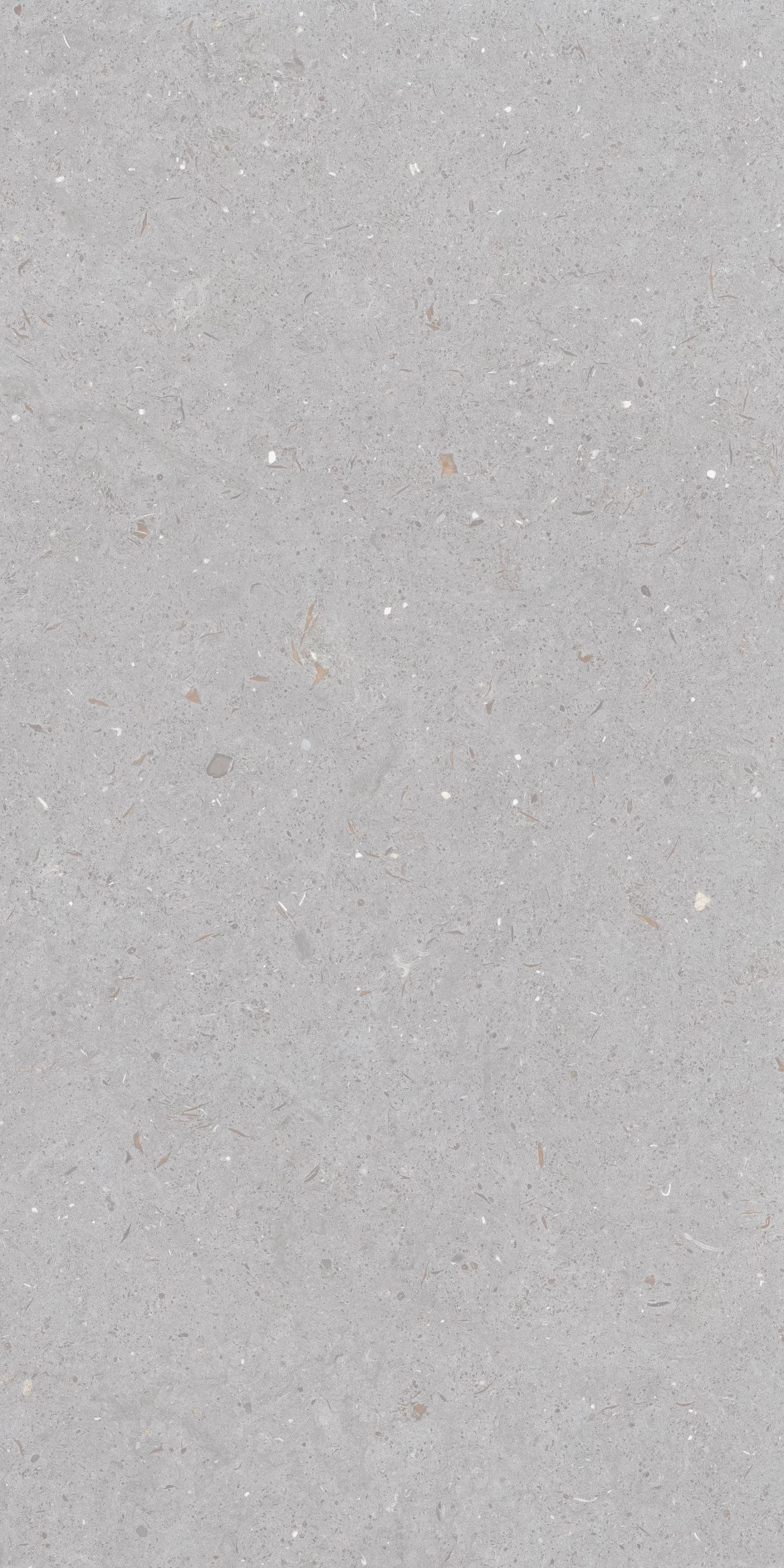 FOSSIL DOVE F10 scaled