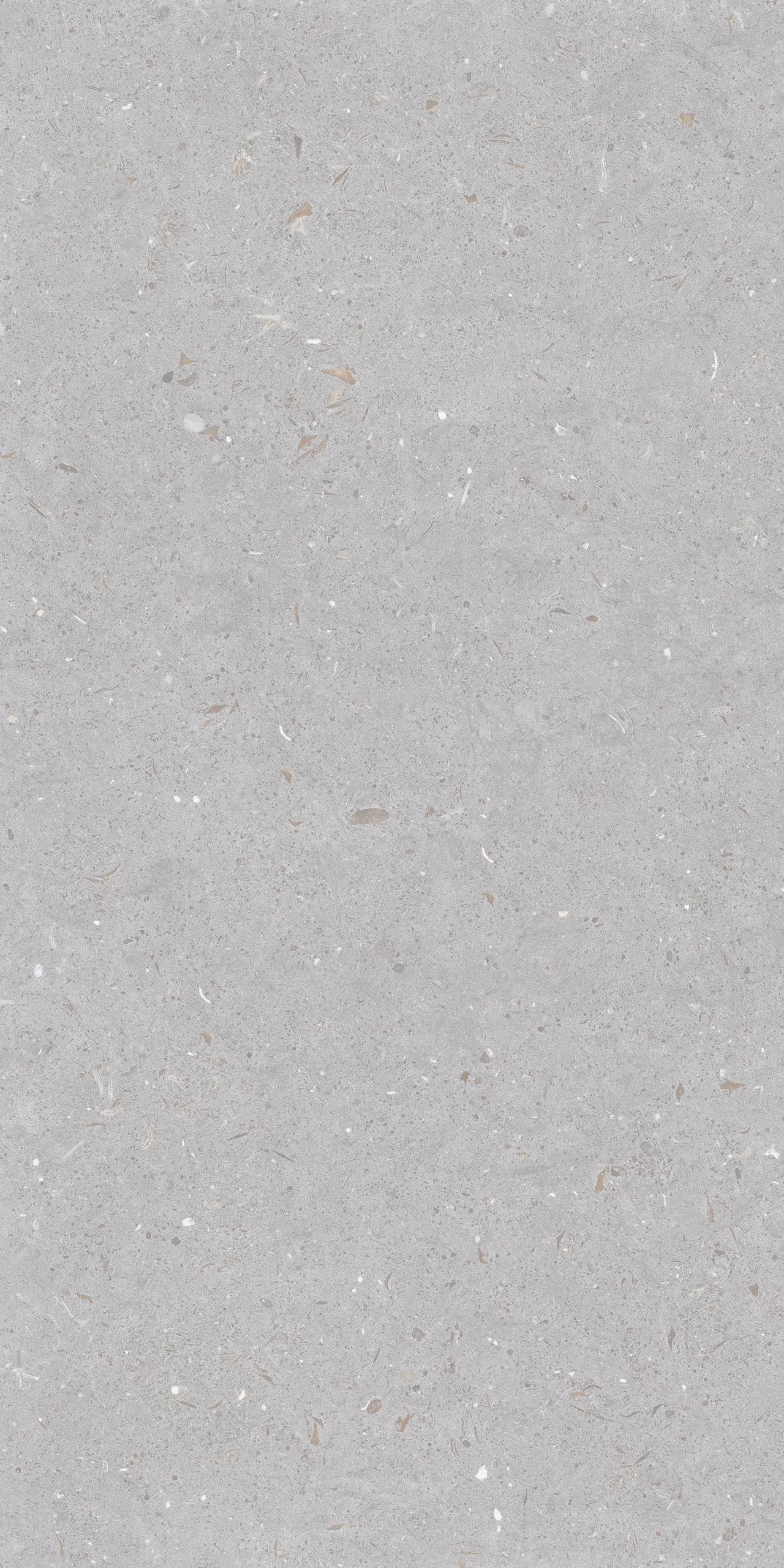 FOSSIL DOVE F15 scaled