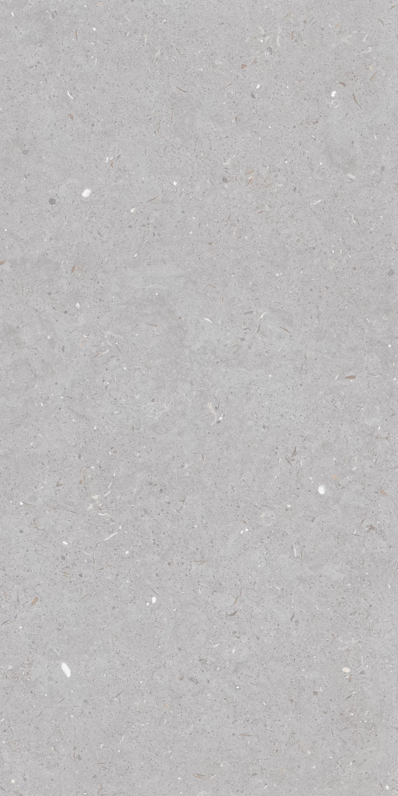 FOSSIL DOVE F16 scaled