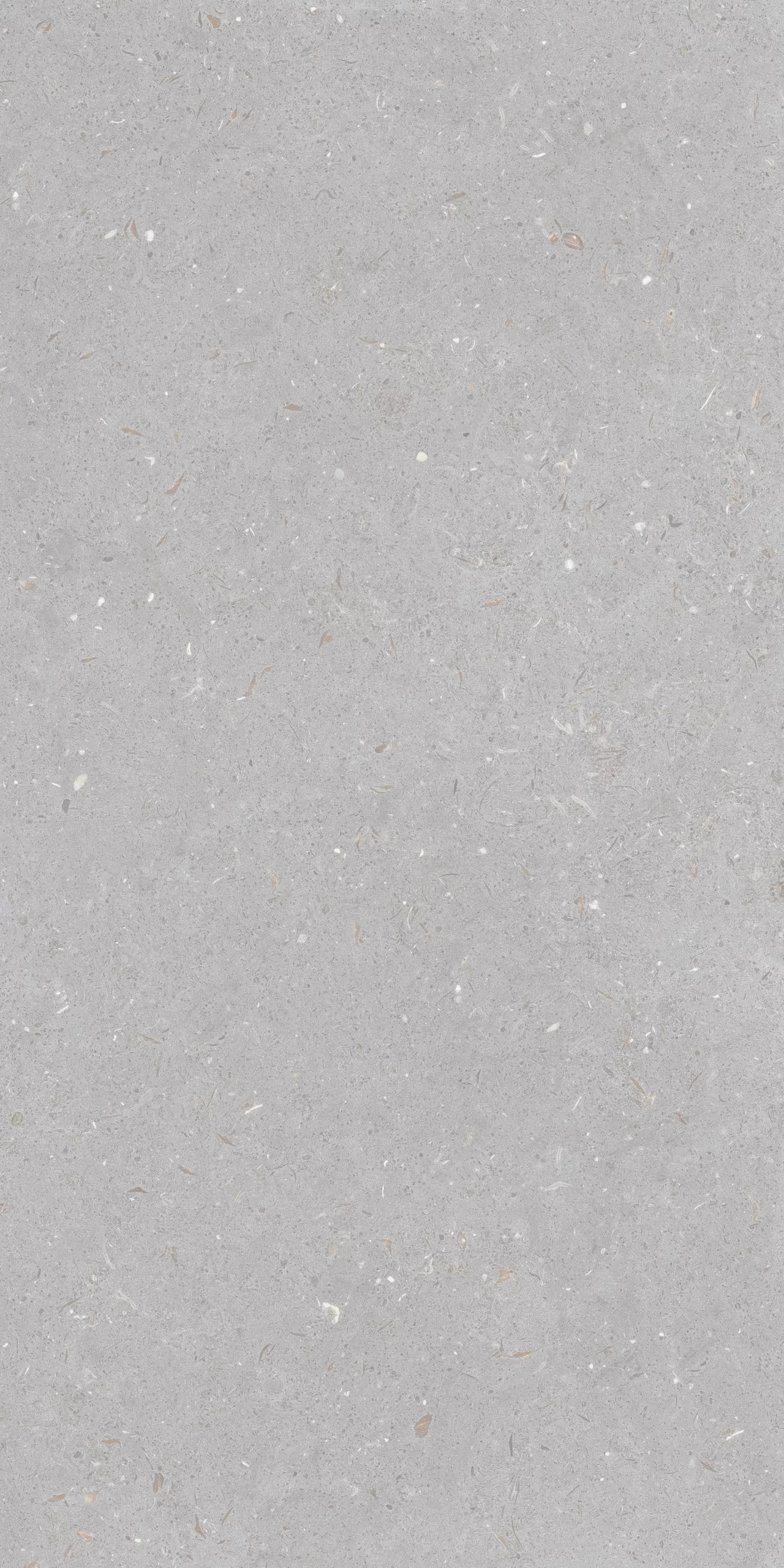 FOSSIL DOVE F8 scaled