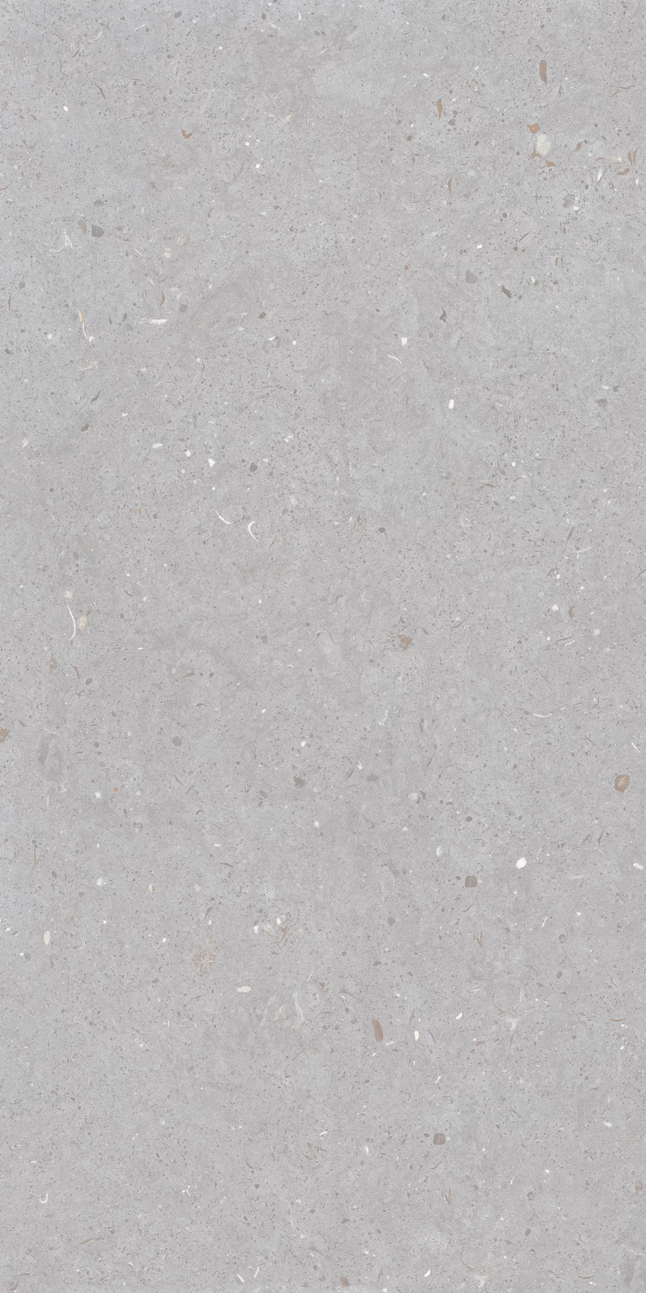 FOSSIL DOVE F9 scaled