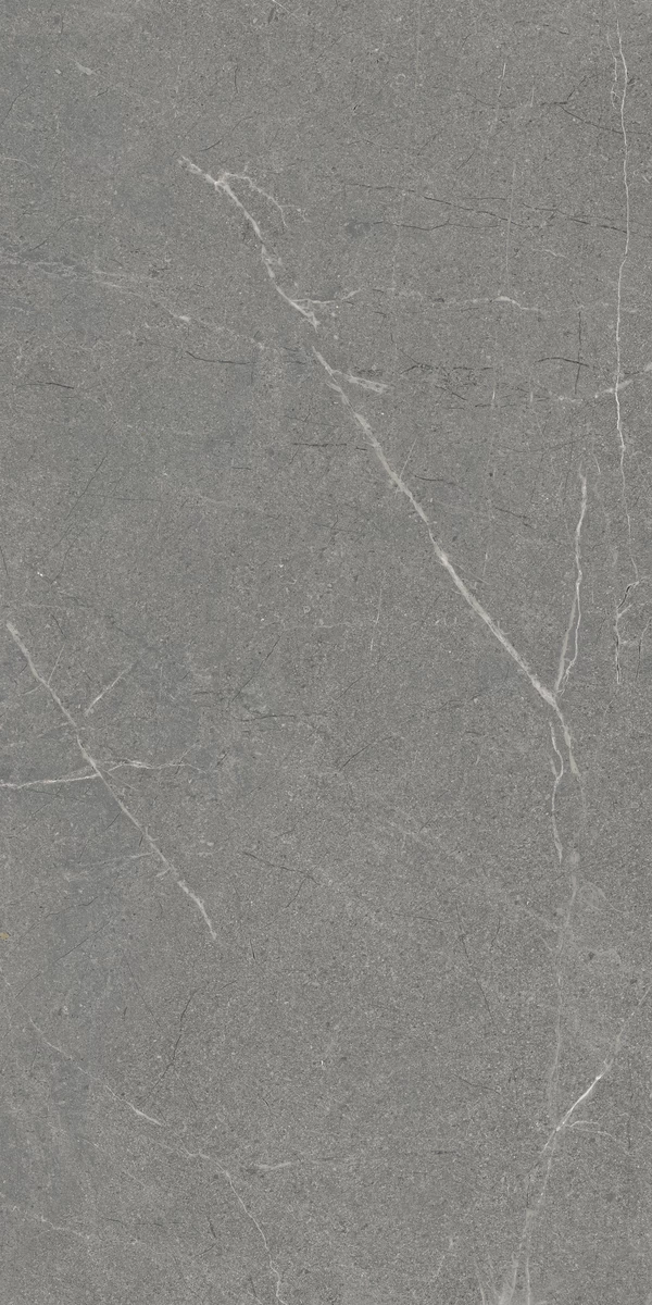 MARKSTONE SLATE 1