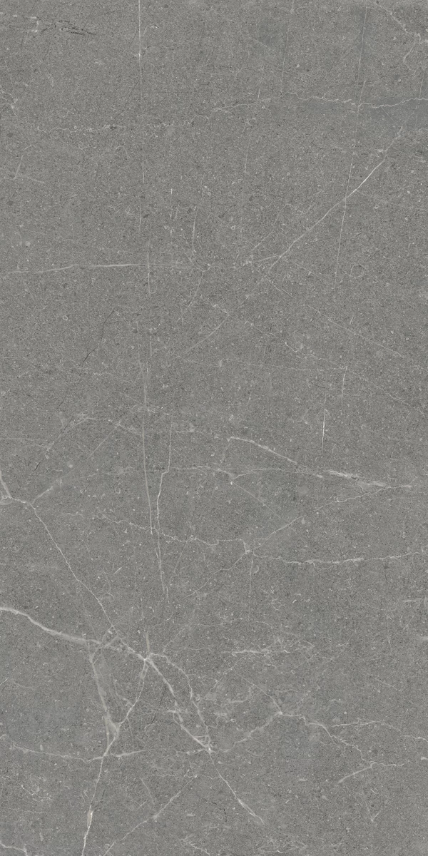MARKSTONE SLATE 4