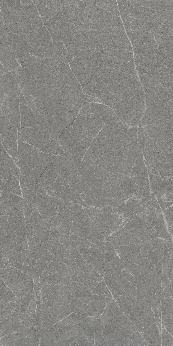MARKSTONE SLATE 5