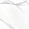 4 6 1