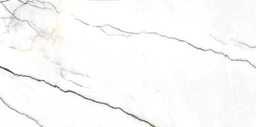 8 1