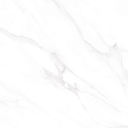 8014 p4