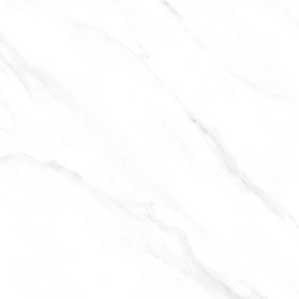 8014 p5