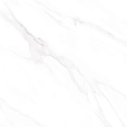 8014 p6