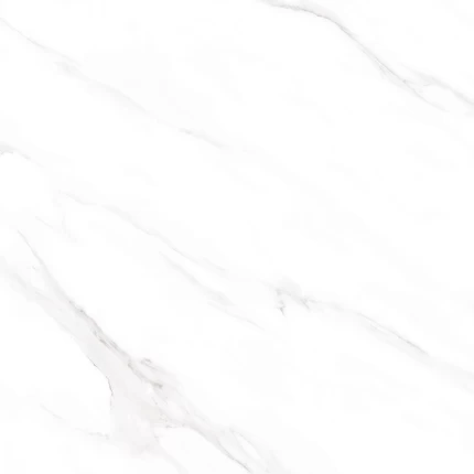 8014 p7
