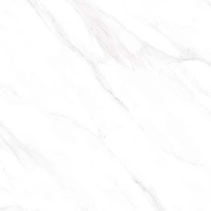 8014 p8