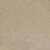 INDUS APRICOT