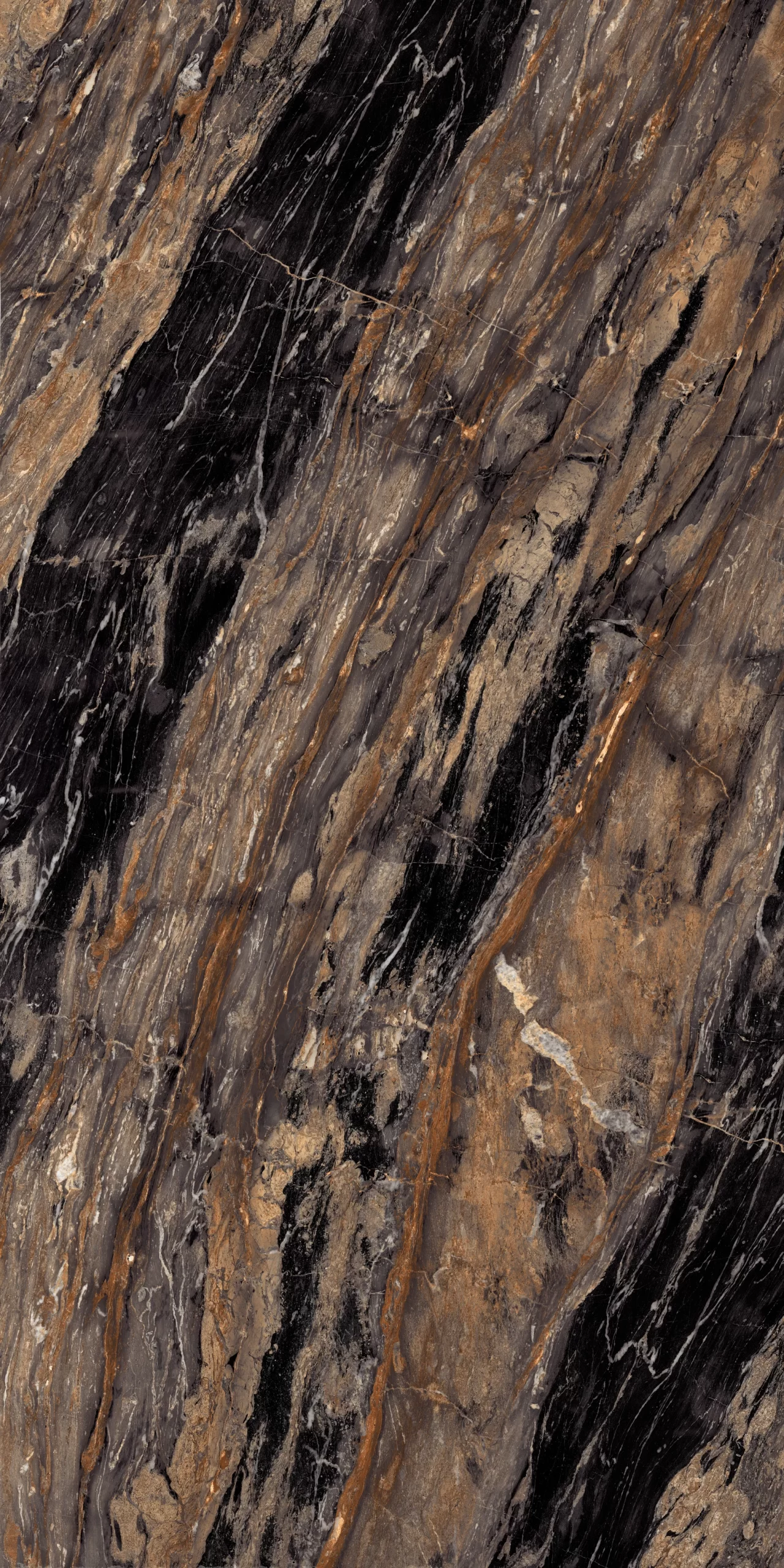 BLACK FOREST 120x240 F1 scaled