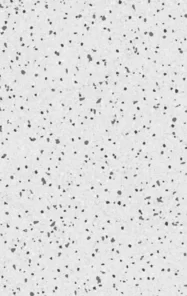 Gạch  TERRAZO GREY