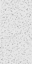 Gạch  TERRAZO GREY