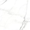SATUARIO VENUS 1