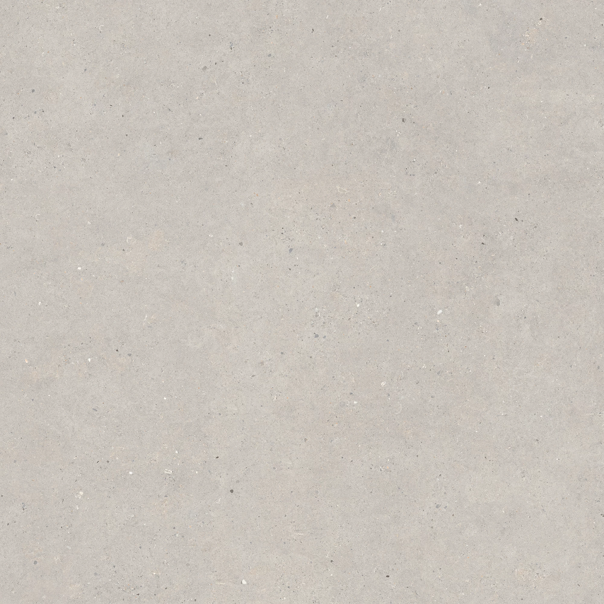 SILVER GRAIN GREY