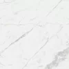 VG 10019 1