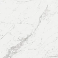 VG 10019 3