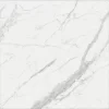 VG 10019 4