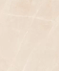 Gạch  VG 10003