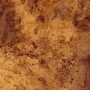 PLUTONIC GOLD GRANDE 2