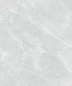 GẠCH DBS-1018 (120x60cm) PL