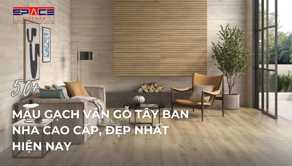 anh dai dien bai viet 2 1