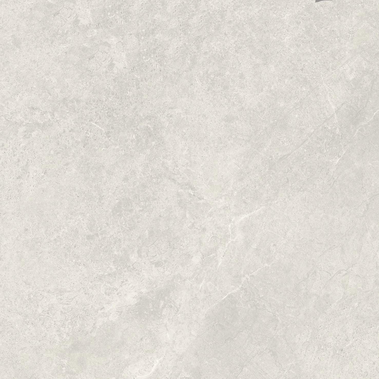 MM88022 11 1