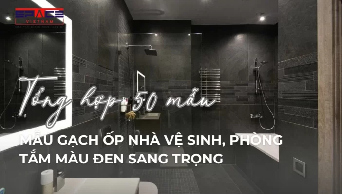 anh dai dien bai viet 1
