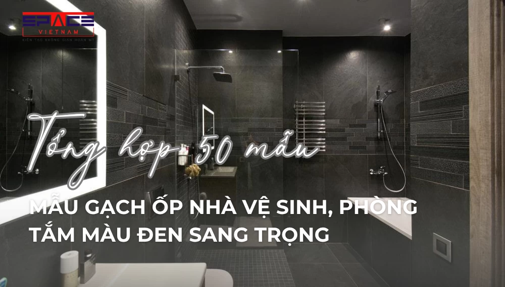 anh dai dien bai viet 1